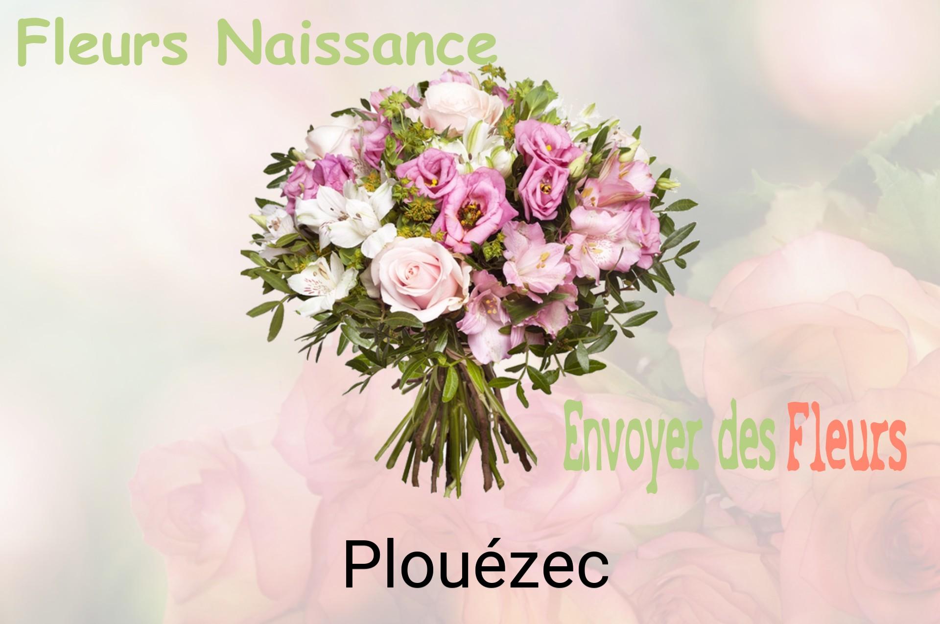 Bouquet de fleurs de naissance livré à Plouézec